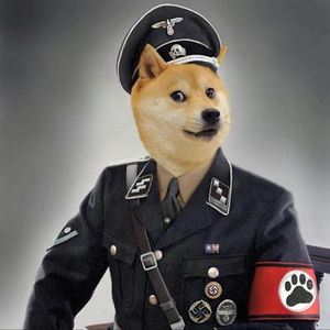 Meet your Posher, Bryan